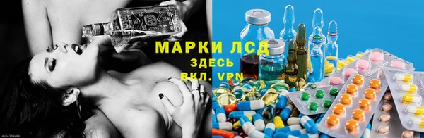 крисы Абаза