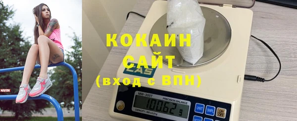 крисы Абаза