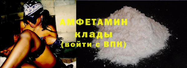 крисы Абаза