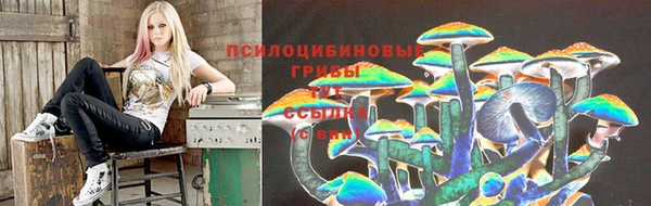 таблы Абинск