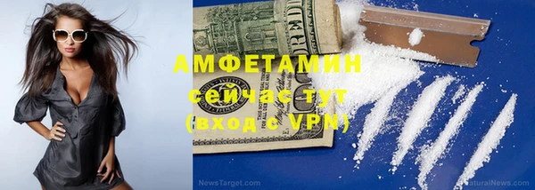 крисы Абаза