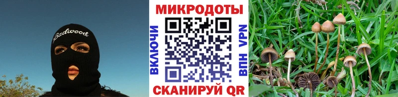 Галлюциногенные грибы мицелий  blacksprut зеркало  Избербаш 